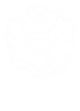 EncsLiget honlapja
